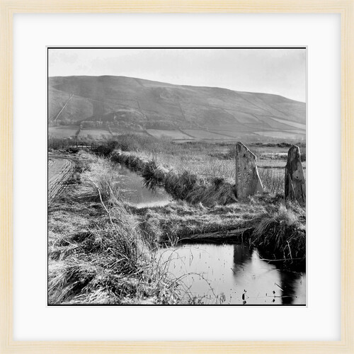 Ballaugh Curraghs, Isle of Man by George Bellett Cowen
